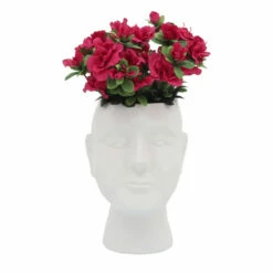 Best Pirce 🤩 Sagebrook Home Porcelain, 6" Dia Face Vase, White 10.0"H 🛒 -Sagebrook Home Online Shop unnamed file 3686