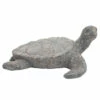 Discount β Sagebrook Home Resin, 23" Tortoise Deco, Gray 11.0"H π 2 Discount β Sagebrook Home Resin, 23" Tortoise Deco, Gray 11.0"H π -Sagebrook Home Online Shop unnamed file 3896