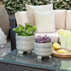 Best reviews of ๐ Sagebrook Home Set Of 2 6, 8" Footed Planter With Dots, Gray 7"H - 8.0" X 8.0" X 7.0" ๐งจ