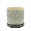 Budget ๐ Sagebrook Home 5" Mesh Planter With Saucer, Gray 5"H - 5.0" X 5.0" X 5.0" โ 2 Budget ๐ Sagebrook Home 5" Mesh Planter With Saucer, Gray 5"H - 5.0" X 5.0" X 5.0" โ -Sagebrook Home Online Shop unnamed file 4109