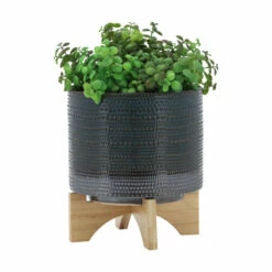 Top 10 ❤️ Sagebrook Home 8" Dotted Planter With Wood Stand, Green 9.0"H - 8.0" X 8.0" X 9.0" ⌛ 11 Top 10 ❤️ Sagebrook Home 8" Dotted Planter With Wood Stand, Green 9.0"H - 8.0" X 8.0" X 9.0" ⌛ -Sagebrook Home Online Shop unnamed file 4136