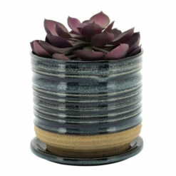 Deals π Sagebrook Home Ceramic 6" Textured Planterw, Saucer, Multi 6"H - 6.0" X 6.0" X 6.0" π€© 8 Deals π Sagebrook Home Ceramic 6" Textured Planterw, Saucer, Multi 6"H - 6.0" X 6.0" X 6.0" π€© -Sagebrook Home Online Shop unnamed file 4143