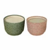Top 10 🥰 Sagebrook Home Set Of 2 Swirls Citronella Candle, 7" Green, Rose 27oz 5.0"H - 7.0" X 7.0" X 5.0" 🤩 -Sagebrook Home Online Shop unnamed file 4200