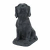 Cheapest ✨ Sagebrook Home Resin, 16"h Puppy Looking Up, Gray 16.0"H 😍 -Sagebrook Home Online Shop unnamed file 4273