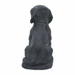 Cheapest ✨ Sagebrook Home Resin, 16"h Puppy Looking Up, Gray 16.0"H 😍 -Sagebrook Home Online Shop unnamed file 4277