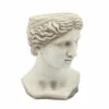 Top 10 😀 Sagebrook Home Resin 11" Lady Head Planter, Antique White 15"H - 11.0" X 10.0" X 15.0" ❤️