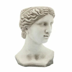 Top 10 😀 Sagebrook Home Resin 11" Lady Head Planter, Antique White 15"H - 11.0" X 10.0" X 15.0" ❤️ -Sagebrook Home Online Shop unnamed file 4431