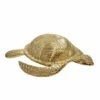 Best Pirce 👍 Sagebrook Home Metal 11.5" Turtle, Gold 👏 -Sagebrook Home Online Shop unnamed file 4509