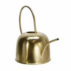 Deals β Sagebrook Home Metal 11" Watering Can, Gold 10.75"H π 8 Deals β Sagebrook Home Metal 11" Watering Can, Gold 10.75"H π -Sagebrook Home Online Shop unnamed file 4588