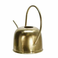 Deals β Sagebrook Home Metal 11" Watering Can, Gold 10.75"H π 9 Deals β Sagebrook Home Metal 11" Watering Can, Gold 10.75"H π -Sagebrook Home Online Shop unnamed file 4589