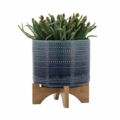 Best reviews of ❤️ Sagebrook Home 8" Dotted Planter With Wood Stand, Blue 7.0"H - 8.0" X 8.0" X 7.0" ⭐ -Sagebrook Home Online Shop unnamed file 4759
