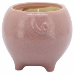 Hot Sale 👏 Sagebrook Home 6" Pig Scented Candle, Pink 9oz 4.0"H - 6.0" X 6.0" X 4.0" 😀 -Sagebrook Home Online Shop unnamed file 4886