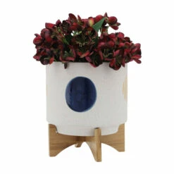 Coupon 😍 Sagebrook Home 10" Funky Planter With Stand, White 12.0"H - 10.0" X 10.0" X 12.0" ✔️ -Sagebrook Home Online Shop unnamed file 4908