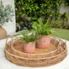 Budget 💯 Sagebrook Home Set Of 2 Terracotta Planters With Saucer 6, 8", Orange 8"H - 8.0" X 8.0" X 8.0" ❤️ -Sagebrook Home Online Shop unnamed file 505