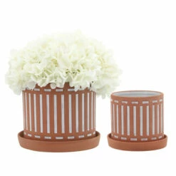 Budget 💯 Sagebrook Home Set Of 2 Terracotta Planters With Saucer 6, 8", Orange 8"H - 8.0" X 8.0" X 8.0" ❤️ -Sagebrook Home Online Shop unnamed file 509