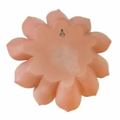 Hot Sale ๐ Sagebrook Home Ec, Pink Wall Flower 8.25"H ๐คฉ 7 Hot Sale ๐ Sagebrook Home Ec, Pink Wall Flower 8.25"H ๐คฉ -Sagebrook Home Online Shop unnamed file 5176