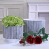 Budget 👏 Sagebrook Home Ec, Set Of 2 Ceramic Planters 8.5, 6.5"gray Stripe 8.5"H - 8.5" X 8.5" X 8.5" 👏