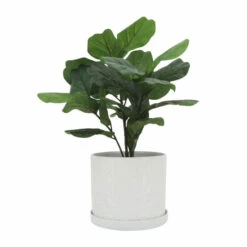 Cheapest 😍 Sagebrook Home Set Of 2 10, 12" Scaly Planter With Saucer, White 10"H - 12.0" X 12.0" X 10.0" 🌟 -Sagebrook Home Online Shop unnamed file 5305