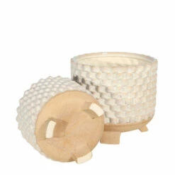 Wholesale 😉 Sagebrook Home Set Of 2 Ceramic 6, 8" Textured Footed Planter, White 7.5"H - 8.0" X 8.0" X 7.5" 🌟 -Sagebrook Home Online Shop unnamed file 5356