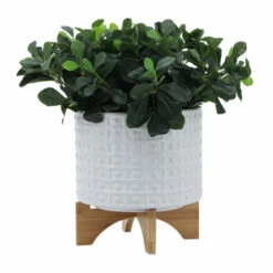 Buy โญ Sagebrook Home 10" Dotted Planter With Stand, White 8.0"H - 11.0" X 11.0" X 8.0" ๐ 11 Buy โญ Sagebrook Home 10" Dotted Planter With Stand, White 8.0"H - 11.0" X 11.0" X 8.0" ๐ -Sagebrook Home Online Shop unnamed file 541