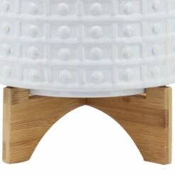 Buy โญ Sagebrook Home 10" Dotted Planter With Stand, White 8.0"H - 11.0" X 11.0" X 8.0" ๐ 15 Buy โญ Sagebrook Home 10" Dotted Planter With Stand, White 8.0"H - 11.0" X 11.0" X 8.0" ๐ -Sagebrook Home Online Shop unnamed file 545