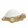 Top 10 ✨ Sagebrook Home 13" Tortoise Deco, White 6.0"H 👍 -Sagebrook Home Online Shop unnamed file 5485