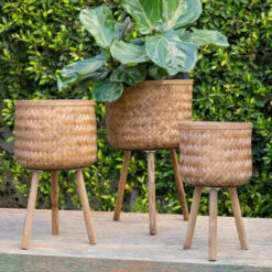 Discount ⭐ Sagebrook Home Set Of 3 Bamboo Planters 11, 13, 15" Brown 26"H - 14.75" X 14.75" X 26.0" 👏 -Sagebrook Home Online Shop unnamed file 5661