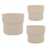 Brand new 💯 Sagebrook Home Ceramic Set Of 3 7, 9, 10"d Mushroom Planters, Tan 9.0"H - 10.0" X 10.0" X 9.0" 🥰 -Sagebrook Home Online Shop unnamed file 567