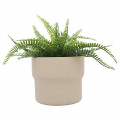 Brand new ๐ฏ Sagebrook Home Ceramic Set Of 3 7, 9, 10"d Mushroom Planters, Tan 9.0"H - 10.0" X 10.0" X 9.0" ๐ฅฐ 11 Brand new ๐ฏ Sagebrook Home Ceramic Set Of 3 7, 9, 10"d Mushroom Planters, Tan 9.0"H - 10.0" X 10.0" X 9.0" ๐ฅฐ -Sagebrook Home Online Shop unnamed file 569