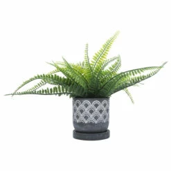 Promo 🎉 Sagebrook Home Cem, 5" Fan Planter With Saucer, Gray 5.0"H - 5.0" X 5.0" X 5.0" 👏 -Sagebrook Home Online Shop unnamed file 5777