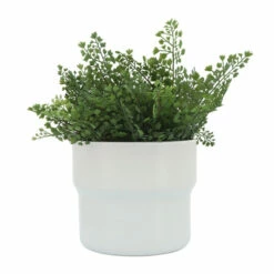 Best deal 😀 Sagebrook Home Ceramic Set Of 3 7, 9, 10"d Mushroom Planters, White 9.0"H - 10.0" X 10.0" X 9.0" 👏 -Sagebrook Home Online Shop unnamed file 581