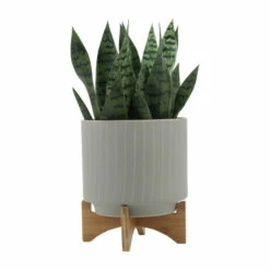 Flash Sale 💯 Sagebrook Home Ceramic Set Of 2 8, 10" Stripes Planter With Stand, Tan 12.0"H - 10.0" X 10.0" X 12.0" 🛒 -Sagebrook Home Online Shop unnamed file 637