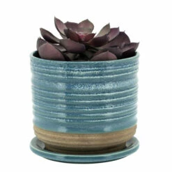 Hot Sale β Sagebrook Home Ceramic 6" Textured Planterw, Saucer, Aqua 6"H - 6.0" X 6.0" X 6.0" π 7 Hot Sale β Sagebrook Home Ceramic 6" Textured Planterw, Saucer, Aqua 6"H - 6.0" X 6.0" X 6.0" π -Sagebrook Home Online Shop unnamed file 673