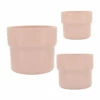 Deals ๐ Sagebrook Home Ceramic Set Of 3 7, 9, 10"d Mushroom Planters, Blush 9.0"H - 10.0" X 10.0" X 9.0" ๐ 1 Deals ๐ Sagebrook Home Ceramic Set Of 3 7, 9, 10"d Mushroom Planters, Blush 9.0"H - 10.0" X 10.0" X 9.0" ๐ -Sagebrook Home Online Shop unnamed file 799