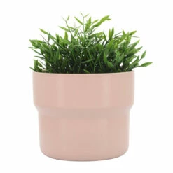 Deals 🔔 Sagebrook Home Ceramic Set Of 3 7, 9, 10"d Mushroom Planters, Blush 9.0"H - 10.0" X 10.0" X 9.0" 🎉 -Sagebrook Home Online Shop unnamed file 801