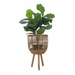 Best reviews of ๐ Sagebrook Home Bamboo, Set Of 2 11, 13"d Woven Planters, Brown 20.0"H - 13.0" X 13.0" X 20.0" ๐ 8 Best reviews of ๐ Sagebrook Home Bamboo, Set Of 2 11, 13"d Woven Planters, Brown 20.0"H - 13.0" X 13.0" X 20.0" ๐ -Sagebrook Home Online Shop unnamed file 833
