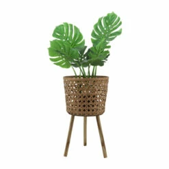 Best reviews of ๐ฏ Sagebrook Home Set Of 3 Bamboo Planters 11, 13, 15" Natural 26.0"H - 14.75" X 14.75" X 26.0" ๐ฅฐ 10 Best reviews of ๐ฏ Sagebrook Home Set Of 3 Bamboo Planters 11, 13, 15" Natural 26.0"H - 14.75" X 14.75" X 26.0" ๐ฅฐ -Sagebrook Home Online Shop unnamed file 866