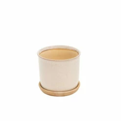 Best Pirce 🎉 Sagebrook Home Set Of 2 Ceramic 6, 8" Planter With Saucer, Beige 8"H - 8.0" X 8.0" X 8.0" 🔔 -Sagebrook Home Online Shop unnamed file 882