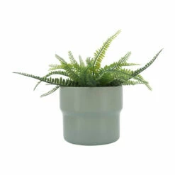 Deals 🎁 Sagebrook Home Ceramic Set Of 3 7, 9, 10"d Mushroom Planters, Greeen 9.0"H - 10.0" X 10.0" X 9.0" ⭐ -Sagebrook Home Online Shop unnamed file 926