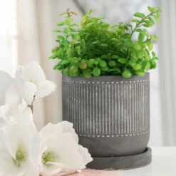 Deals 👏 Sagebrook Home 6" Line Pattern Planter With Saucer, Gray 5.59"H - 5.71" X 5.71" X 5.59" 🔔