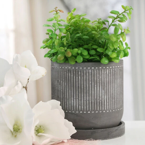 Deals ๐ Sagebrook Home 6" Line Pattern Planter With Saucer, Gray 5.59"H - 5.71" X 5.71" X 5.59" ๐ 3 Deals ๐ Sagebrook Home 6" Line Pattern Planter With Saucer, Gray 5.59"H - 5.71" X 5.71" X 5.59" ๐