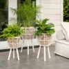 Cheap ❤️ Sagebrook Home Set Of 3 Bamboo Planters 11, 13, 15", White 26.0"H - 15.0" X 15.0" X 26.0" 😉 -Sagebrook Home Online Shop unnamed file 988